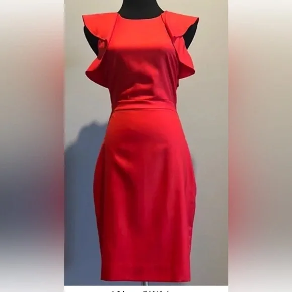 J Crew Shift Women’s Dress size 12 New!!! - Picture 3 of 14